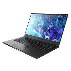 Laptops